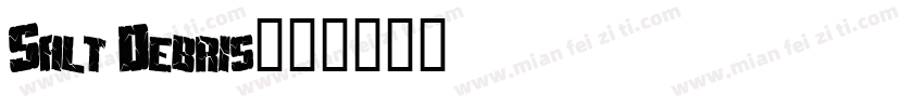 Salt Debris字体转换